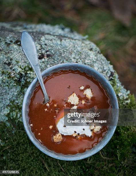 pudding in bowl - rose hip stock pictures, royalty-free photos & images