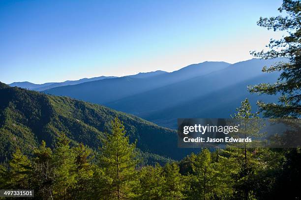 shadows fall over a dense forest canopy covering a remote valley in the himalaya. - disparo bildbanksfoton och bilder