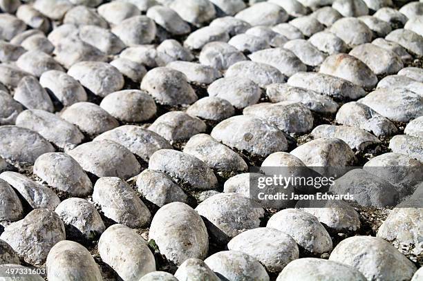 Whitewashed Rocks White Washed Brick Texture Photos and Premium High Res Pictures - Getty ...