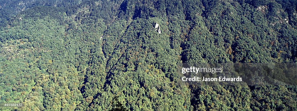 Rugged mountain terrain and gullies shrouded in dense forest in a Himalaya valley.