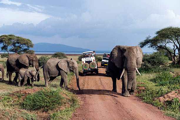 travel to Tanzania