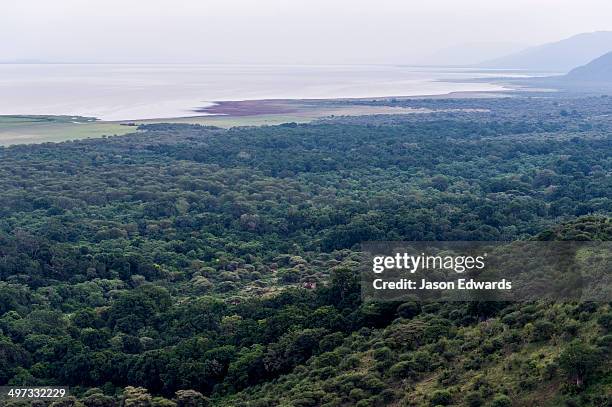 the canopy of an evergreen forest shrouds an escarpment and soda lake floodplain. - escarpment stock pictures, royalty-free photos & images