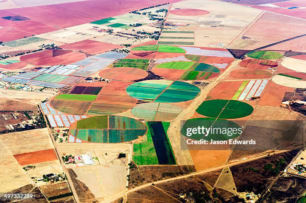 irrigated agricultural crop circles surrounded by dry farmland and pasture. - província de gauteng imagens e fotografias de stock