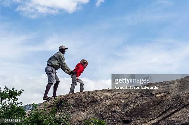 a guide helps a young boy on safari climb a granite outcrop known as a kopje on the savannah. - アルーシャ地区 ストックフォトと画像