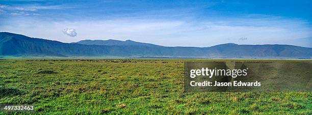 a vast short grass savannah plain surrounded by a volcano caldera wall. - llanura fotografías e imágenes de stock