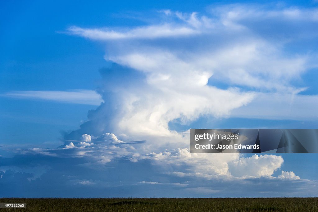 An enormous cumulonimbus develops over a vast and featureless savannah plain.