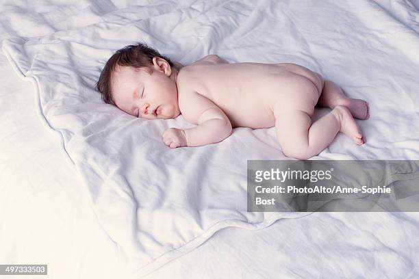 baby napping in bed - one baby girl only stock pictures, royalty-free photos & images
