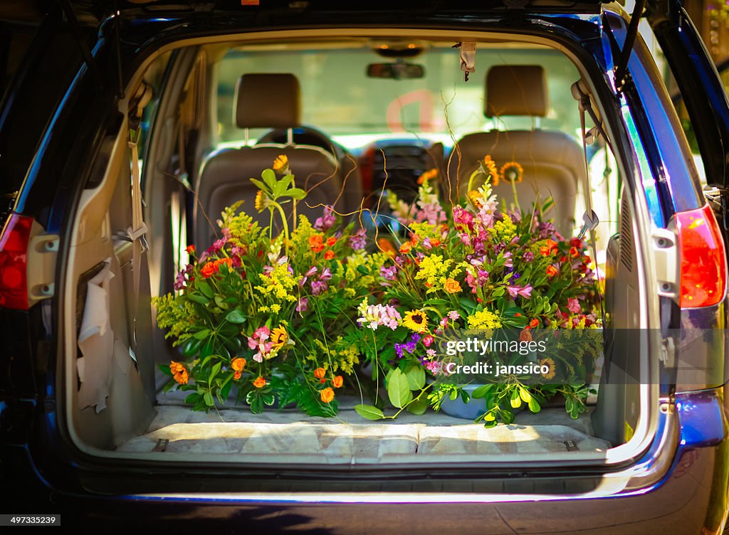 Flores na Bagageira