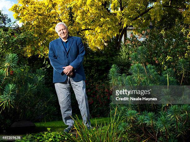 Naturalist and broadcaster David Attenborough is photographed for the Daily Mail on September 30, 2015 in London, England.