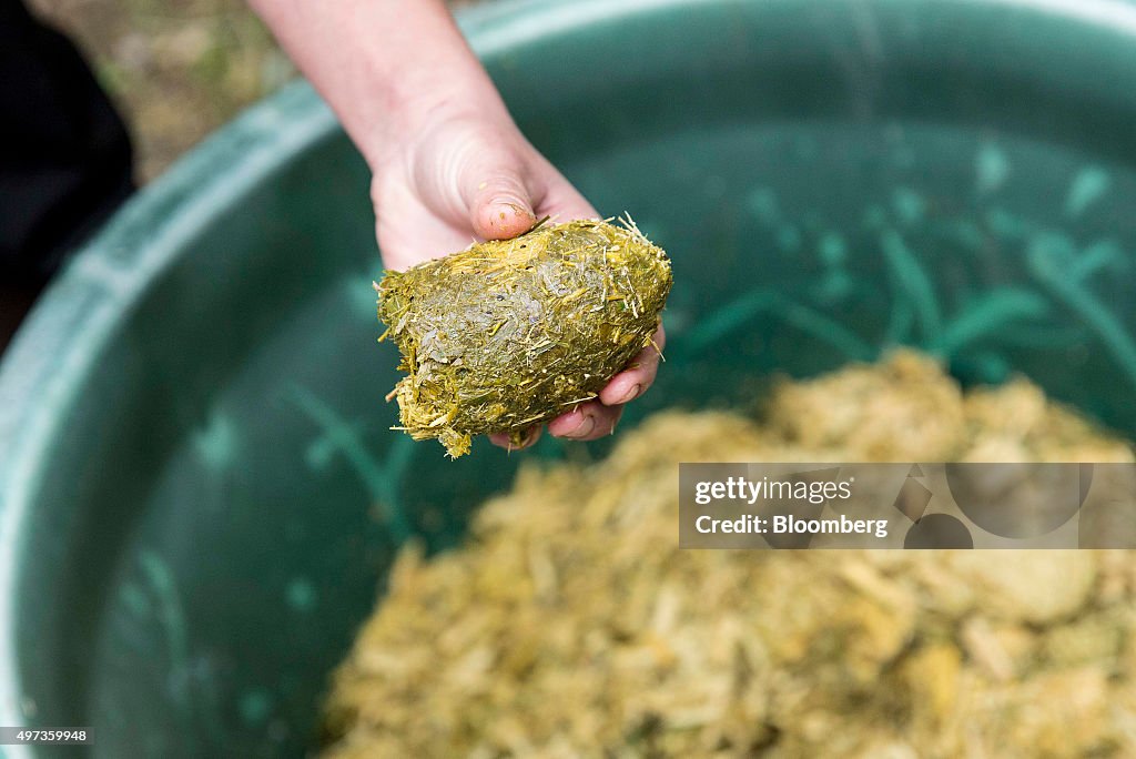 Zoo Transforms Animal Waste Into Energy