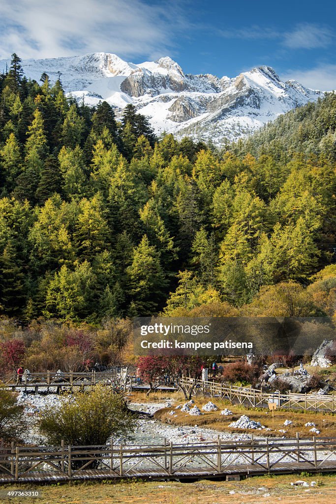 Beautiful nature of colorful autumn in Yading national level reserve, Daocheng, Sichuan Province, China