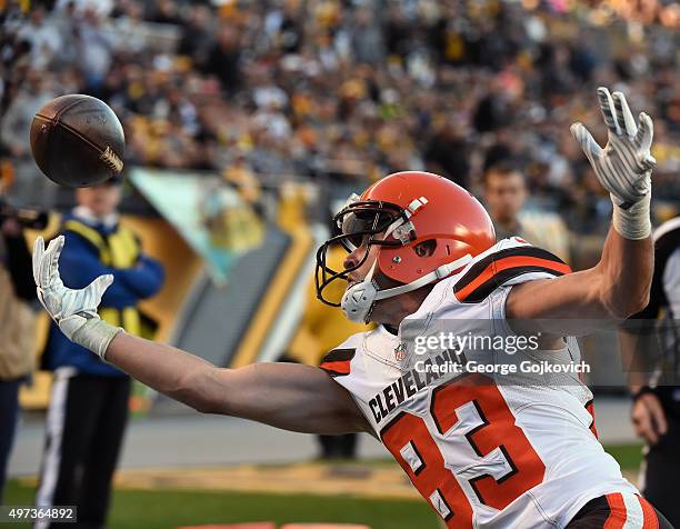 Wide receiver Brian Hartline of the Cleveland Browns reaches for a pass during a game against the Pittsburgh at Heinz Field on November 15, 2015 in...