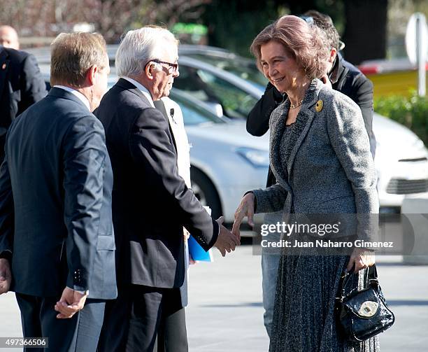 Queen Sofia attends 'La Paz Hospital 50th Anniversary' at La Paz Hospital on November 16, 2015 in Madrid, Spain.