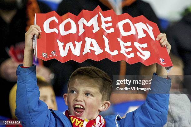 Fan of Wales during the International friendly match between Wales and Netherlands on November 13, 2015 at the Cardiff City stadium in Cardiff, Wales.