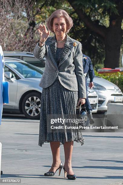 Queen Sofia attends "La Paz" Hospital 50th Anniversary' on November 16, 2015 in Madrid, Spain.