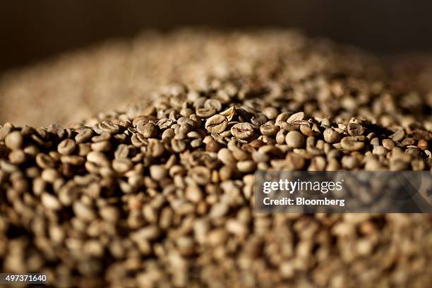 Coffee beans sit before roasting at the Luigi Lavazza SpA coffee production and training facility in Turin, Italy, on Friday, Nov. 13, 2015. Luigi...