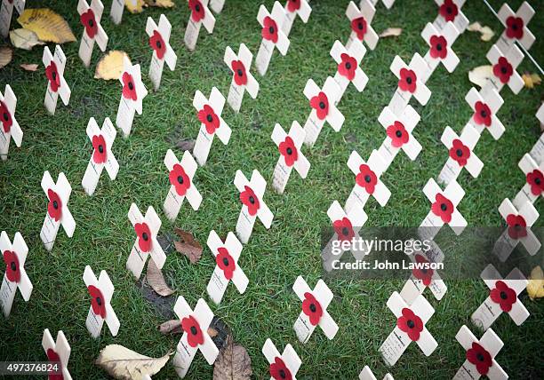 remembrance crosses and poppies - memorial vigil - fotografias e filmes do acervo