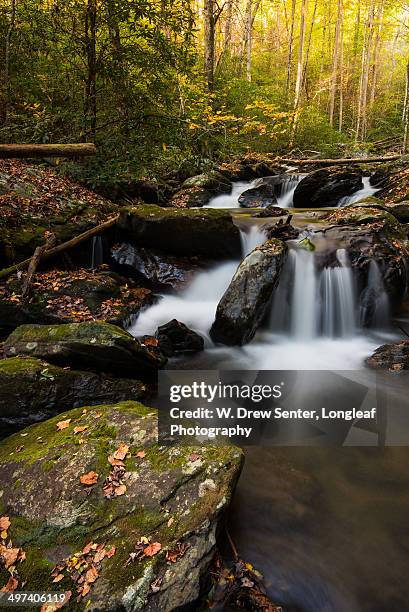 smith creek falls in n. georgia - anna ruby falls stock pictures, royalty-free photos & images