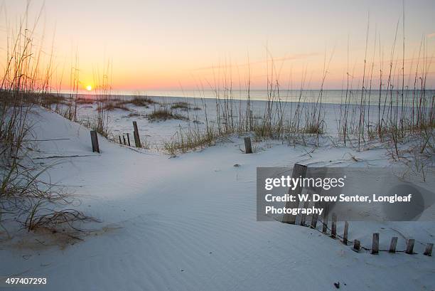 sunrise pastels - gulf shores alabama stock-fotos und bilder