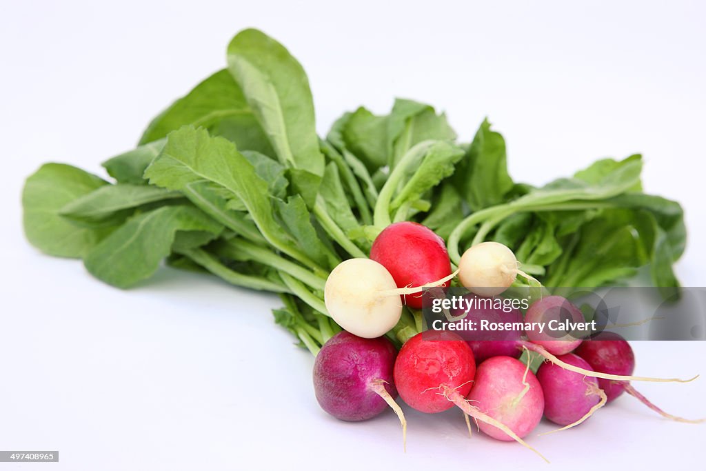 Organic Easter Egg radishes in a bunch.