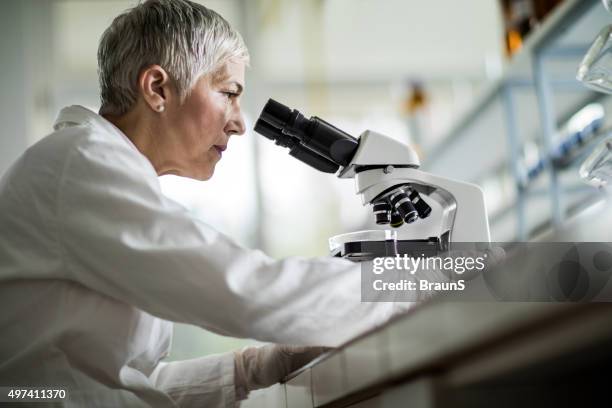 below view of female scientist looking through a microscope. - microscope bildbanksfoton och bilder