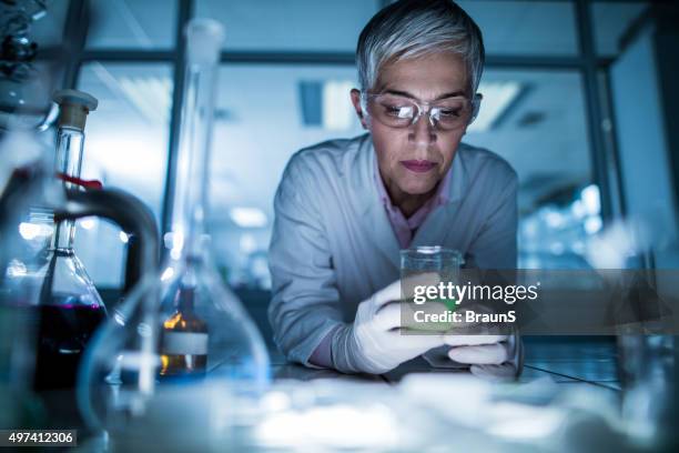 female scientist working on a new scientific experiment. - scientific research stock pictures, royalty-free photos & images