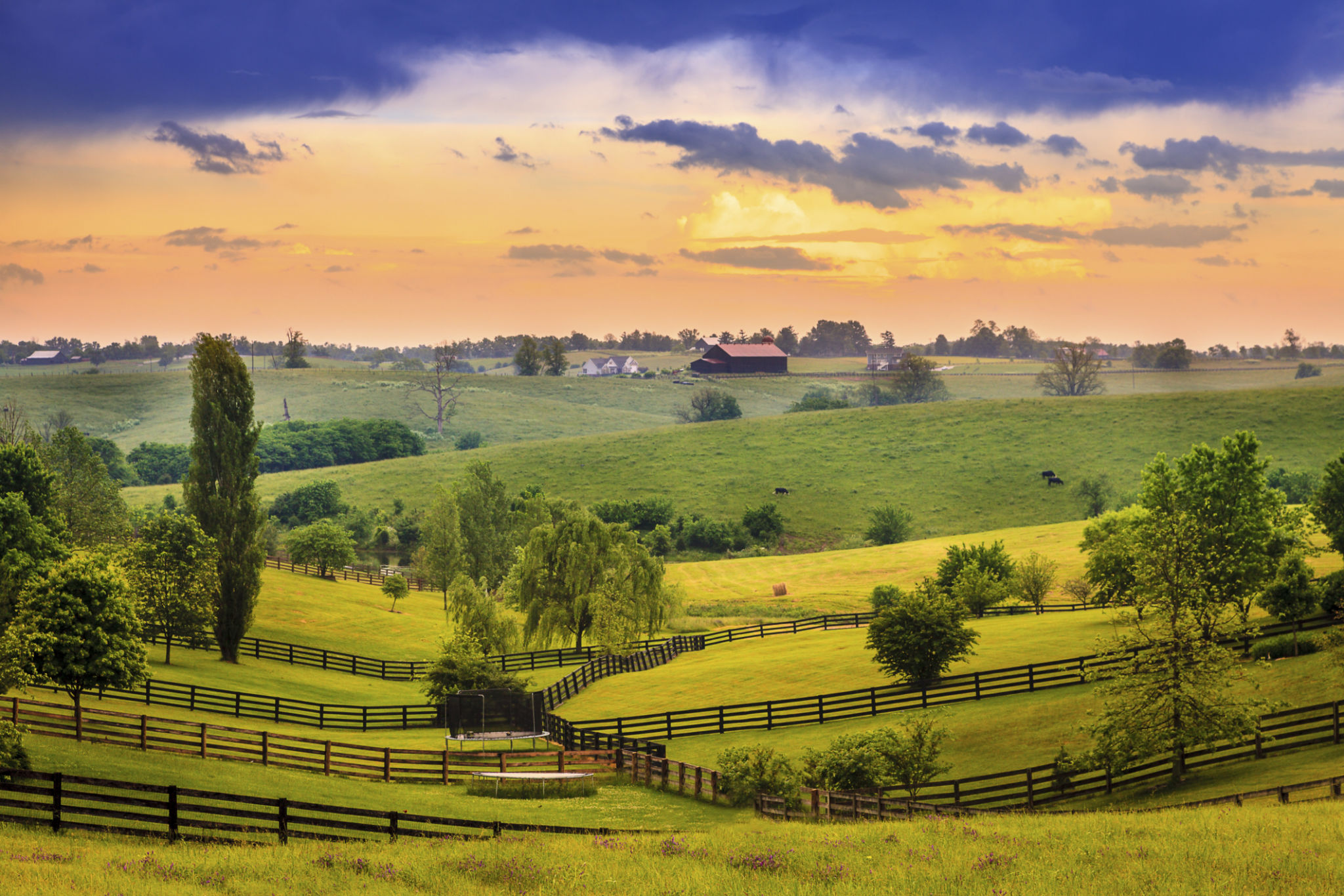 kentucky garden