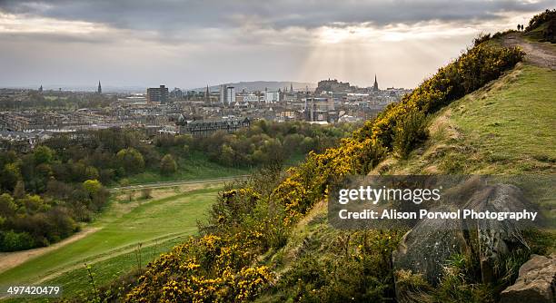 edinburgh skyline - midlothian scotland stock pictures, royalty-free photos & images