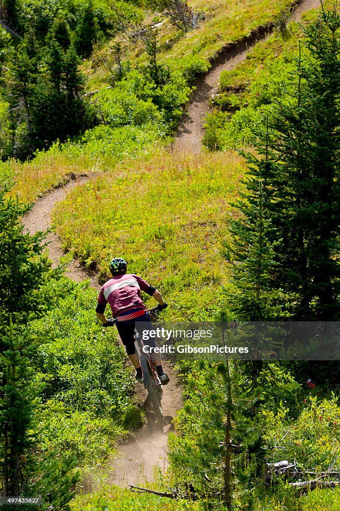 Mountain Bike Rider