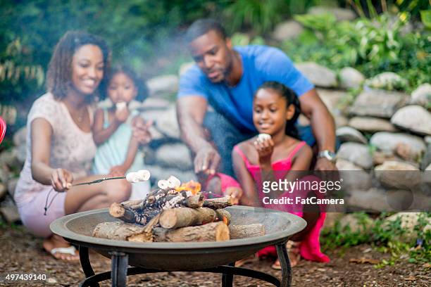 roasting marshmallows over a fire - fire pit stock pictures, royalty-free photos & images