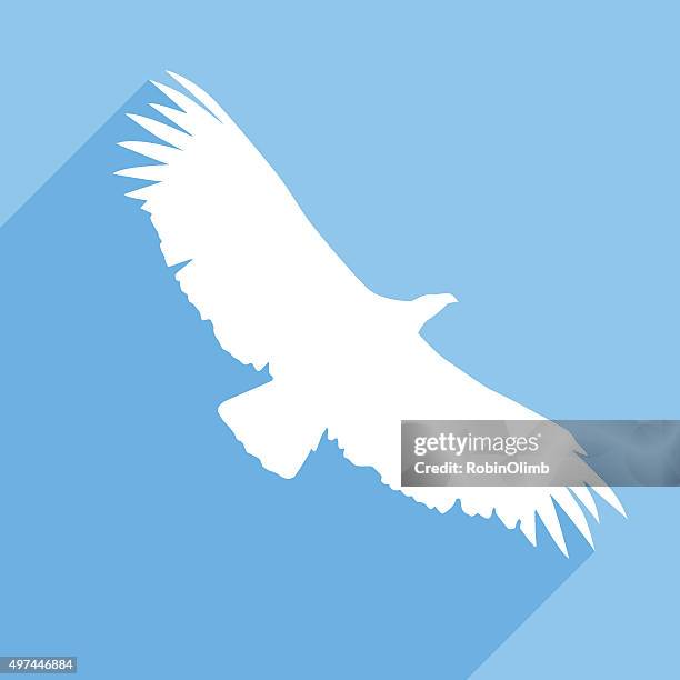 condor icon - condor stock illustrations