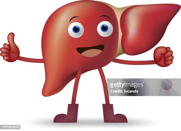 illustrazioni stock, clip art, cartoni animati e icone di tendenza di fumetto di fegato - human liver