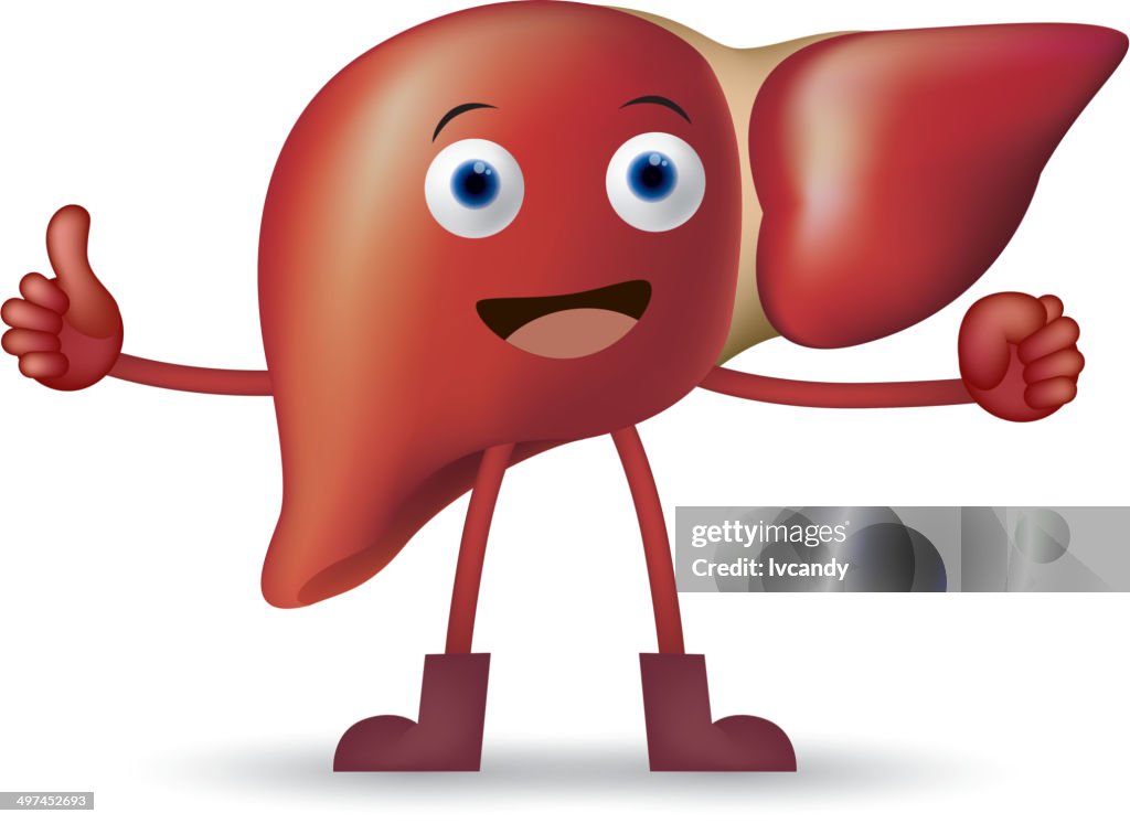 Cartoon Liver High-Res Vector Graphic - Getty Images