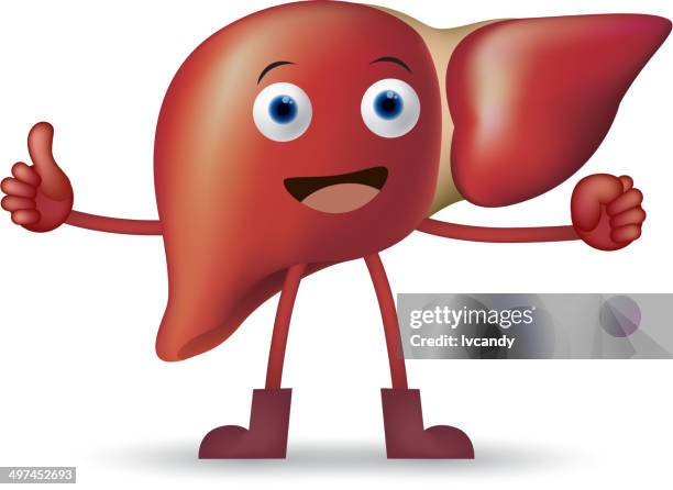 cartoon liver - liver stock illustrations