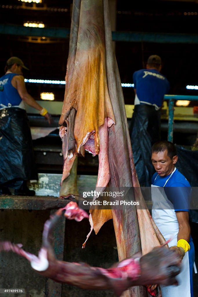 Tannery in Amazon, Brazil - raw hide - process of treating...