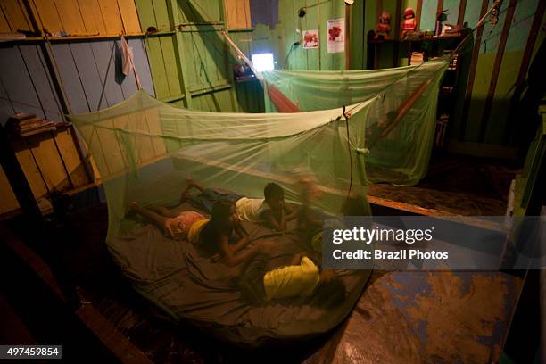 Safety precaution, family under mosquito net in Amazon rain forest for avoiding malaria and leishmaniosis, endemic diseases in the region, Brazil.