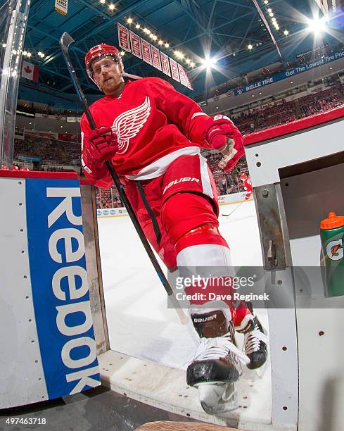 Joakim Andersson of the Detroit Red Wings leaves the ice after warm ups before an NHL game against the Washington Capitals at Joe Louis Arena on...