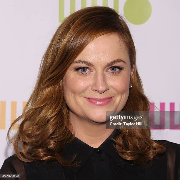 Amy Poehler attends Worldwide Orphans 11th Annual Gala at Cipriani on November 16, 2015 in New York City.