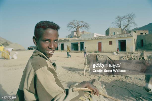 Teenage boy and some donkeys in Eritrea, 2004.