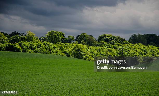Spott East Lothian Photos and Premium High Res Pictures Getty Images