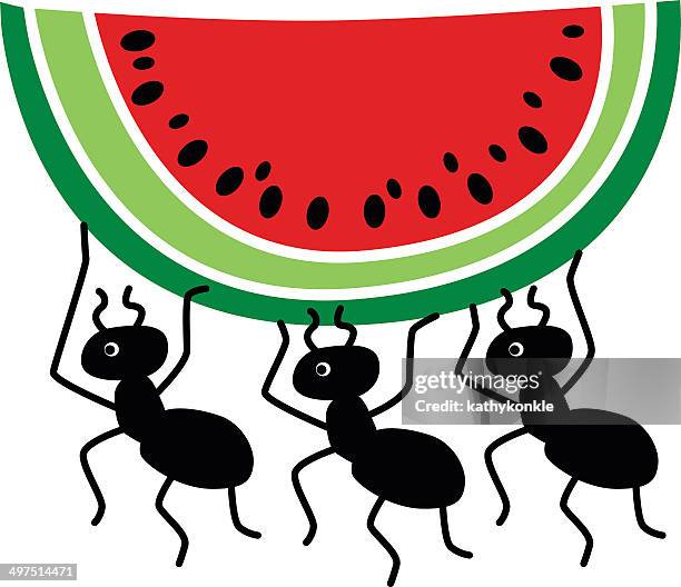 ants stealing watermelon slice - ant stock illustrations