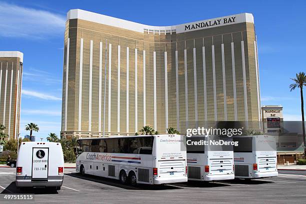 tour buses near mandalay bay hotel - mandalay bay resort and casino bildbanksfoton och bilder