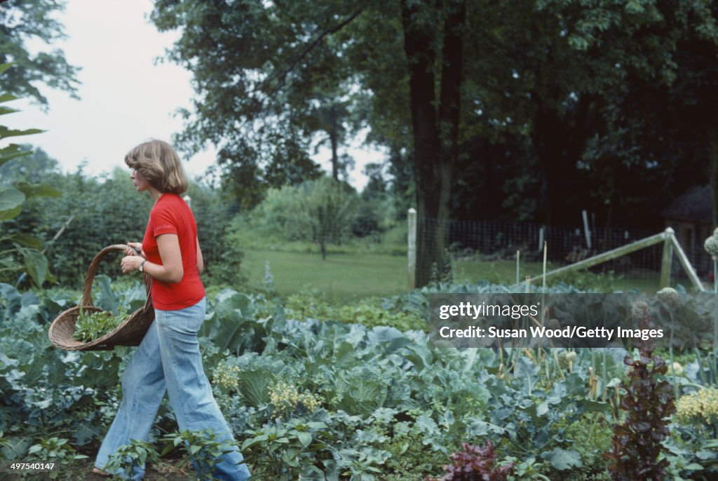 Martha Stewart At Home