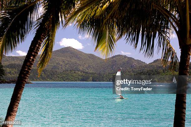 hamilton island, queensland, australia - hamilton island stock pictures, royalty-free photos & images
