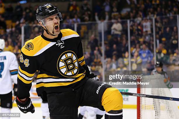 Tyler Randell of the Boston Bruins celebrates after scoring a goal against the San Jose Sharks during the first period at TD Garden on November 17,...