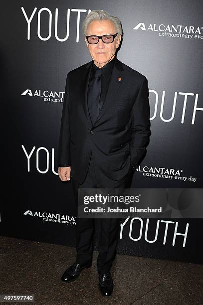 Harvey Keitel arrives at the premiere of Fox Searchlight Pictures' "Youth" at DGA Theater on November 17, 2015 in Los Angeles, California.