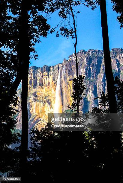 angel falls. highest waterfall in the world. auyantepuy venezuela - angel falls stock pictures, royalty-free photos & images