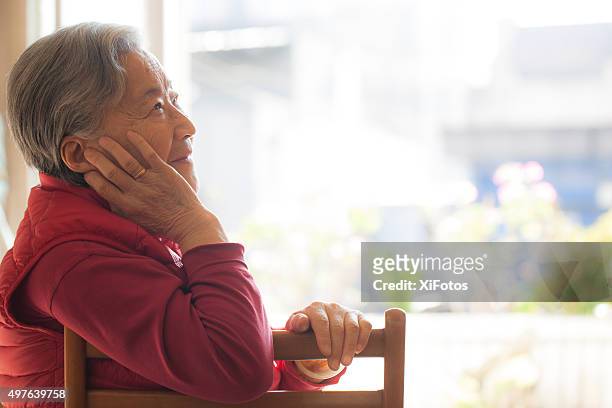 retrato de un sonriente mujer senior de oriente asiático - east asian ethnicity fotografías e imágenes de stock