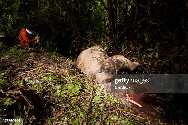 Villager takes a look at the dead body of a seven-year-old Sumatran elephant, who died because of pesticide or consuming poisonous snails, at Turue...