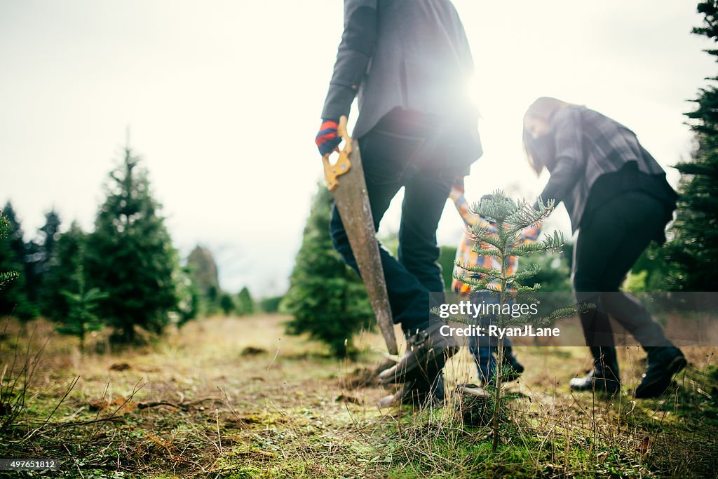 Christmas Tree Family at Tree Farm